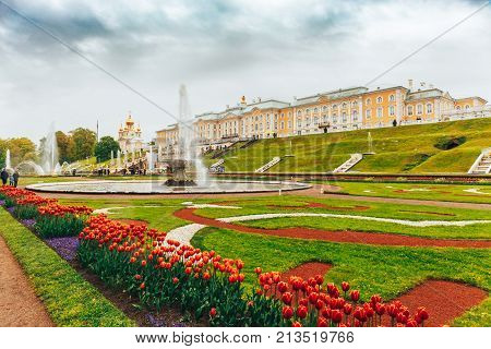 Saint Petersburg, Russia - Circa June 2017: Grand cascade in Pertergof or Peterhof in St. Petersburg, known as Petrodvorets from 1944 to 1997. Famous tourist place with golden statues