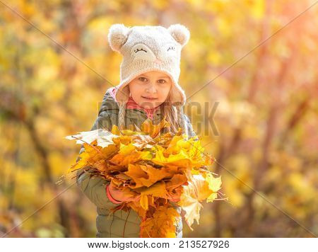 cute little girl in an autumn forest
