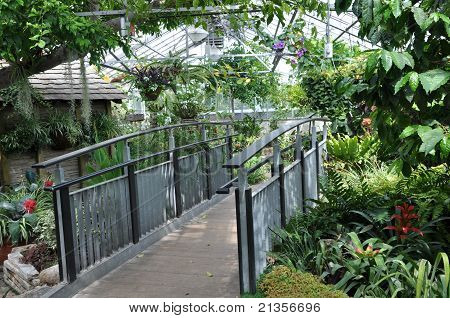 Allan Gardens vinterhave
