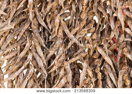 Fish preservation by drying in Ukraine. Azov sea. 2