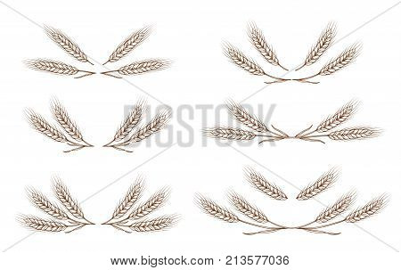 wheat ears design elements set on white background