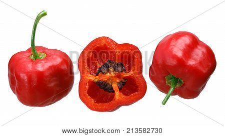 Rocoto Manzano C. Pubescens, Paths