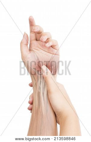 wrist muscle pain white background wrist injury