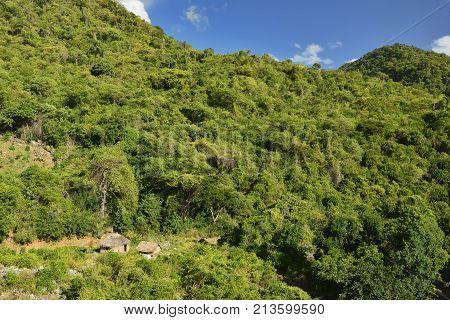 The trail for the highest peak on Cuba Pico Turquino being in a mountain range Sierra Maestra on Cuba