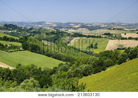 Rural landscape at summer along the road from Fermo to Monterubbiano (Marches italy)