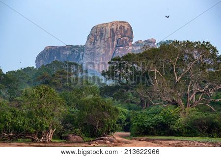 Scenic view with inselberg or monadnock in Yala National Park, Sri Lanka