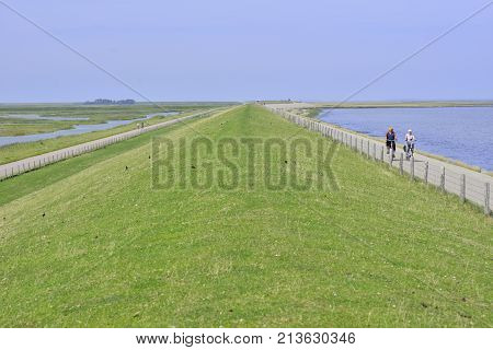 Biking On The Dike  Texel The Netherlands