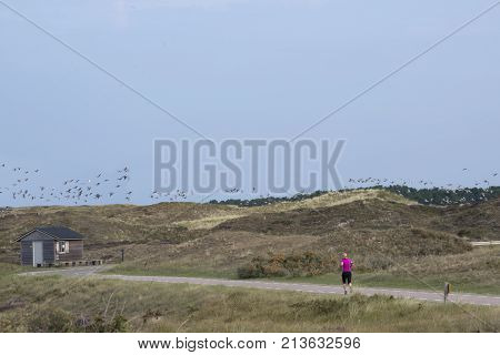 Running In Beautiful Nature Reseve Texel, The Netherlands