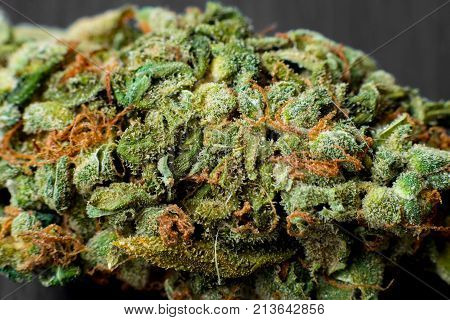 Macro photos of marijuana cones with leaves covered with trichomes. The cannabis plant clse view.