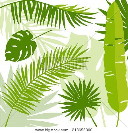 green palm leaves vector on white background