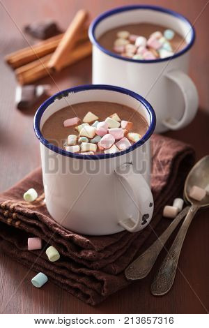 hot chocolate with mini marshmallows cinnamon winter drink