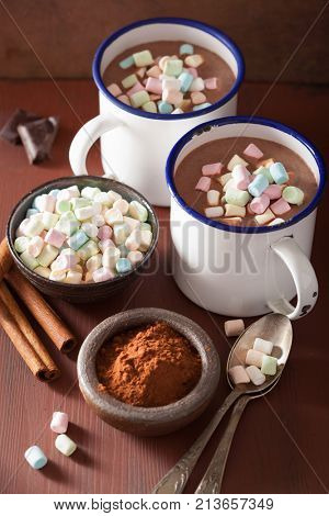 hot chocolate with mini marshmallows cinnamon winter drink
