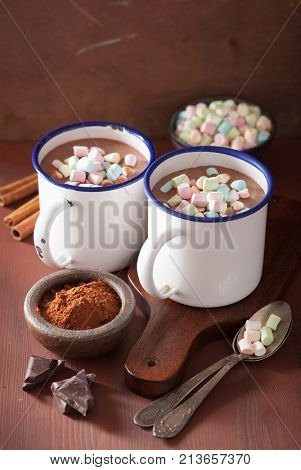 hot chocolate with mini marshmallows cinnamon winter drink