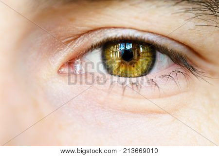brown one eye male close-up pupil look green