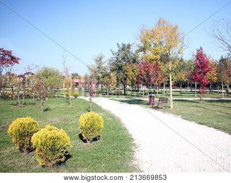 Colorful trees in the park - fall season