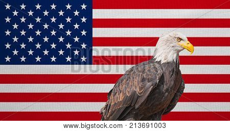 American flag and Bald Eagle. National symbols of USA. Patriotic US banner emblem background. Flag of the United States of America with real detailed fabric texture. American national official flag