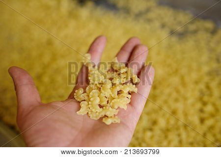 food processing plant for macaroni production. Agnolotti