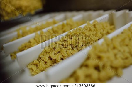 food processing plant for macaroni production. Agnolotti