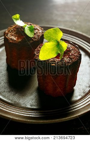 Brown rustic French cakes decoarted with green leaf