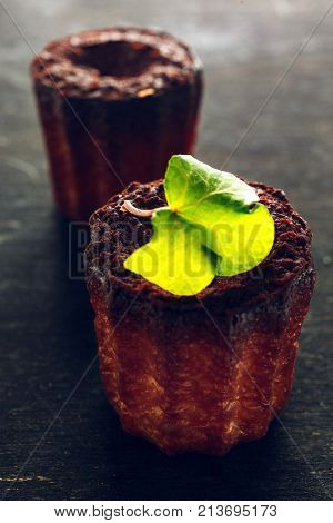 Brown rustic French cakes decoarted with green leaf