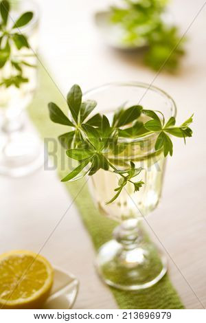 Woodruff Punch with Woodruff Herbs on bright background