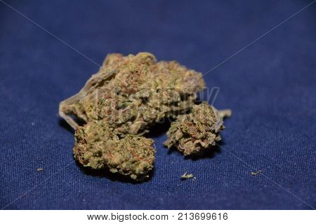 Cannabis Can Be Used For Medical Or Recreational Purposes Depending On Location