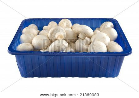 Frisk Champignion svampe i blå boks