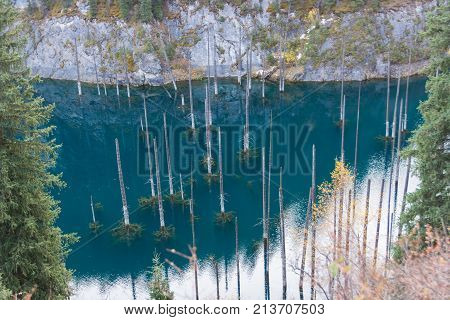 Dead trees in Lake Kaindy Tien-Shan mountains Kazakhstan Central Asia