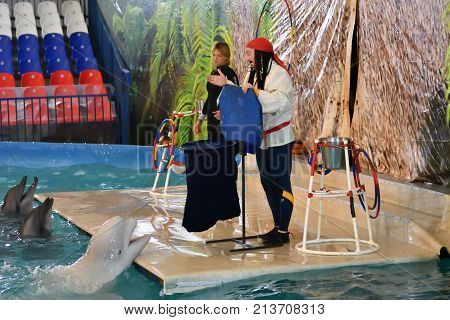 Orenburg, Russia - November 8, 2017 Year: Belukha (lat. Delphinapterus Leucas) In The Dolphinarium