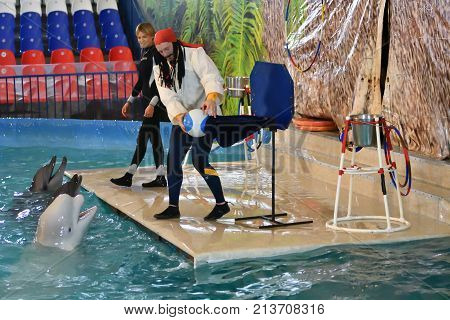 Orenburg, Russia - November 8, 2017 Year: Belukha (lat. Delphinapterus Leucas) In The Dolphinarium