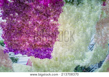Beautiful Decoration Of Flowers At Pakklong Talad Flower Market