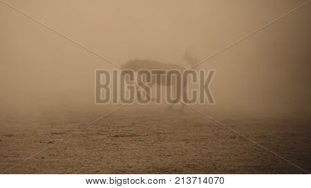 Kayseri Turkey August 2017: Horse running gallop in dusty environment