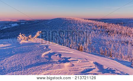 A beautiful colorful morning on the mountain peak of Lusen in Bavaria. Blue and red coloring of the landscape in the morning light. Beautiful winter colors.
