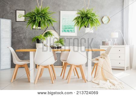 White Chairs In Dining Room
