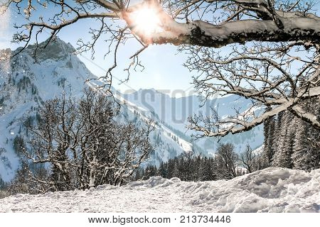 Snow mountains winter landscape. Sun shines through snow covered tree branches. Allgaeu Alps, Bavaria in Germany.
