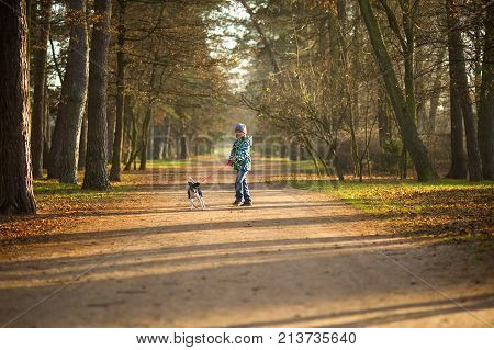 Boy 10-11 years walking the dog in autumn Park. He is holding the leash of a black-and-white cute dog.
