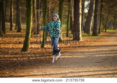 Boy 10-11 years walking the dog in autumn Park. He is holding the leash of a black-and-white cute dog.