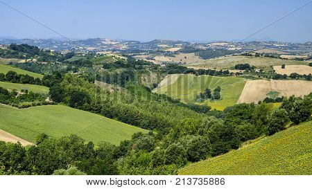 Rural landscape at summer along the road from Fermo to Monterubbiano (Marches italy)