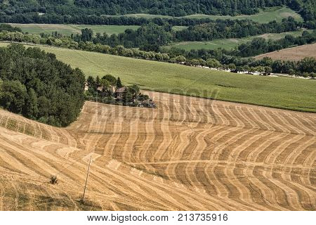 Rural landscape at summer along the road from Fermo to Monterubbiano (Marches italy)