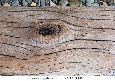 Driftwood, Washed Up By The Sea On A Pebble Beach