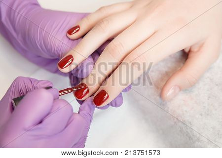 Manicure. Master applies varnish drawing on nails gel in manicure salon.