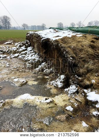 Fermented animal feed under a green tarp on a field in winter