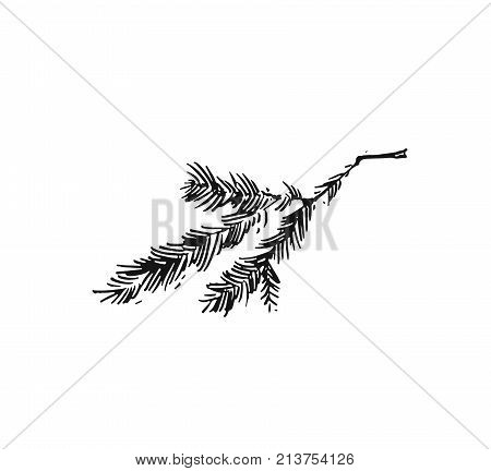 Hand drawn vector Merry Christmas rough freehand graphic greeting decoration design element with ink scandinavian Christmas tree branch isolated on white background.