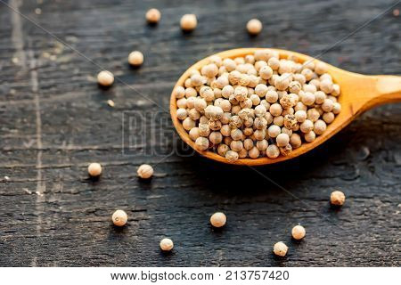 Close up wooden spoon with white peppercorn on dark background