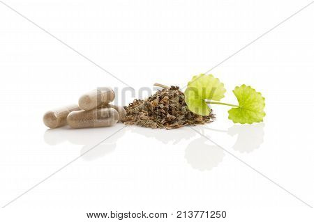 Dried and fresh gotu kola leaves and gel capsules isolated on white background. Asiatic pennywort.