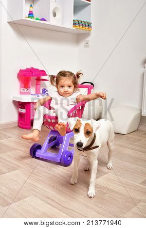 Cute little girl and a young dog breed Parson Russell Terrier together in the children's room