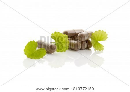Gotu kola Asiatic pennywort. Gel caps and green leaves isolated on white background. Nutritional supplement.