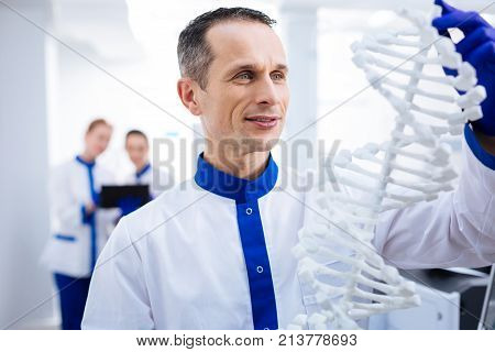 Molecule model. Portrait of thoughtful happy male  scientist who working with DNA model while looking at it and posing against blurred background