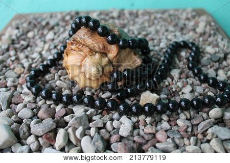 beautiful marine shell decorated black beads lay on smooth pebbles remider of holiday
