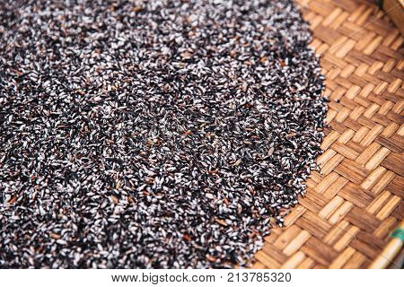 Thai Raw Black Sticky Rice Or Purple Rice